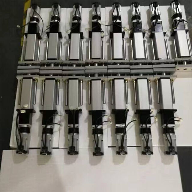 150mm Heavy Duty 20T Fast Speed and High Precision Aluminum Alloy Mount Automatic Industrial Machines Servo Linear Motors